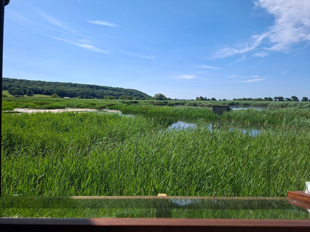 RSPB Leighton Moss Nature Reserve-Silverdale必去景点