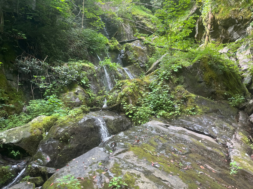 Great Smoky Mountains National Park-盖林柏格必去景点