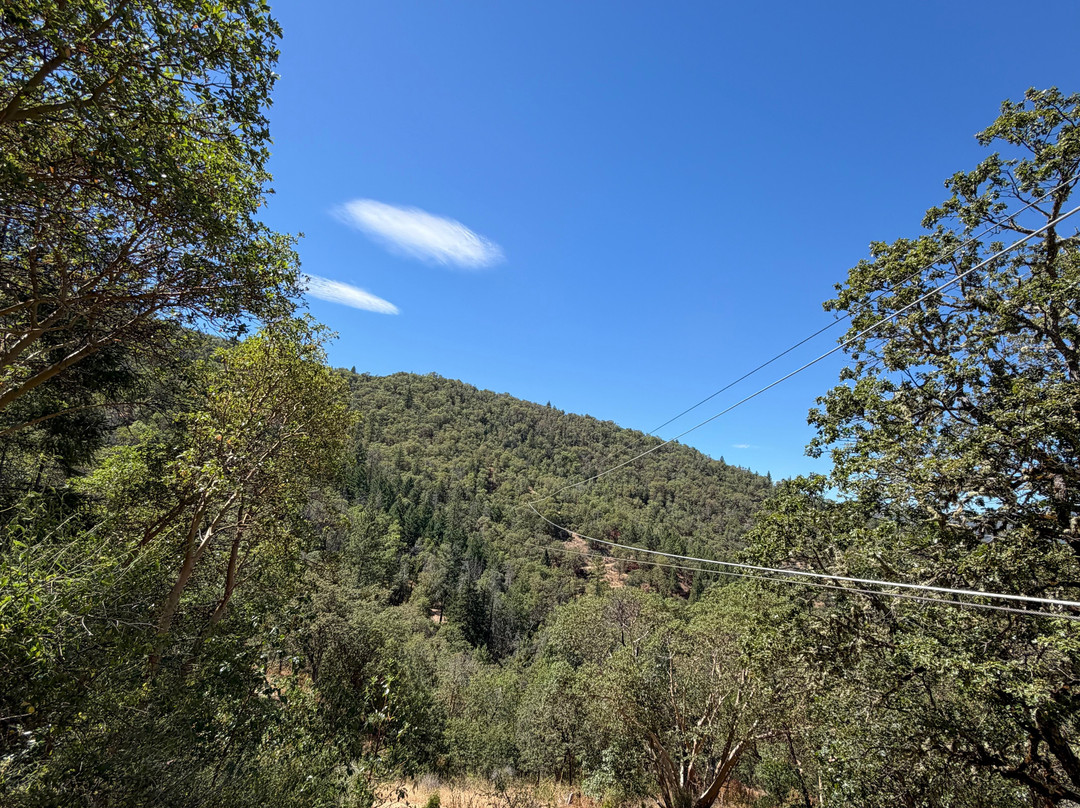 Rogue Valley Zipline Adventures-Central Point必去景点