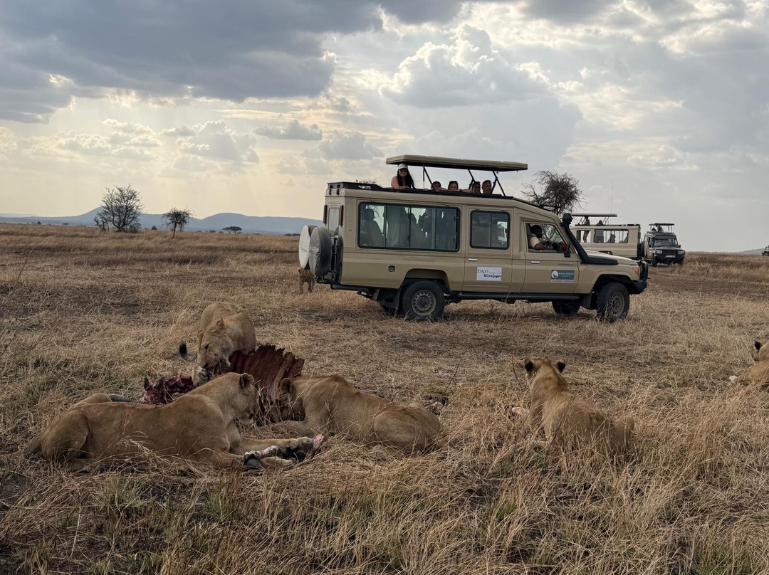 Wapo Africa Safaris Ltd-阿鲁沙必去景点