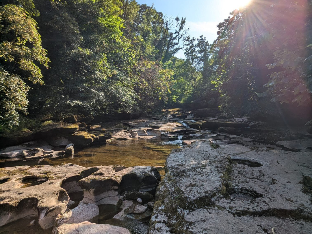 Stenkrith Park-Kirkby Stephen必去景点