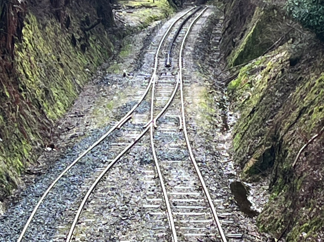 West Coast Wilderness Railway-皇后镇必去景点