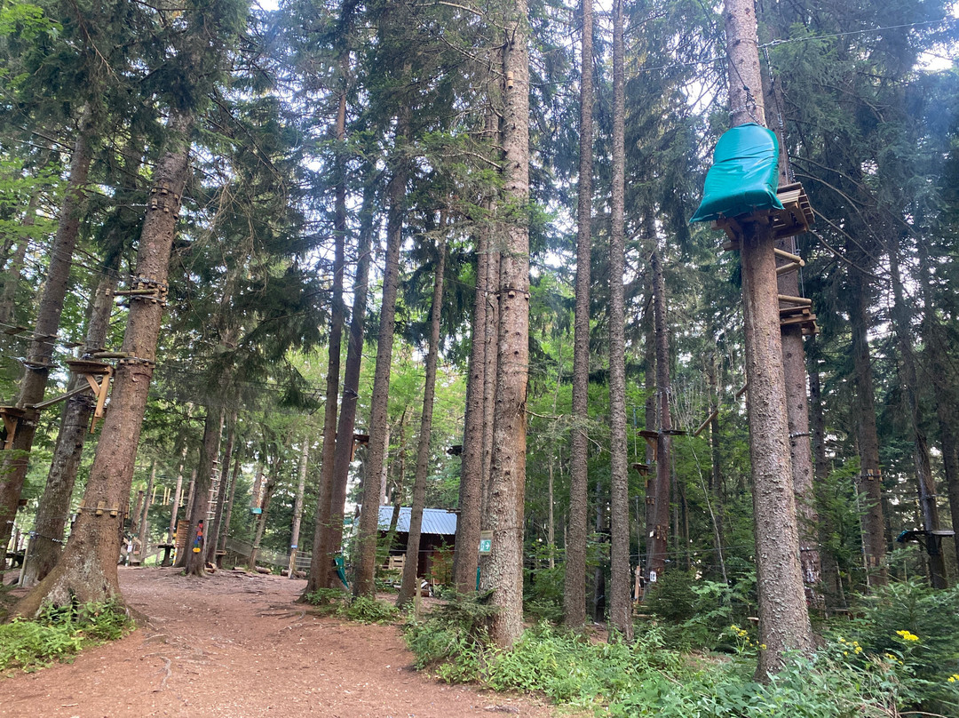 Saint Nizier Aventure-Saint-Nizier-du-Moucherotte必去景点