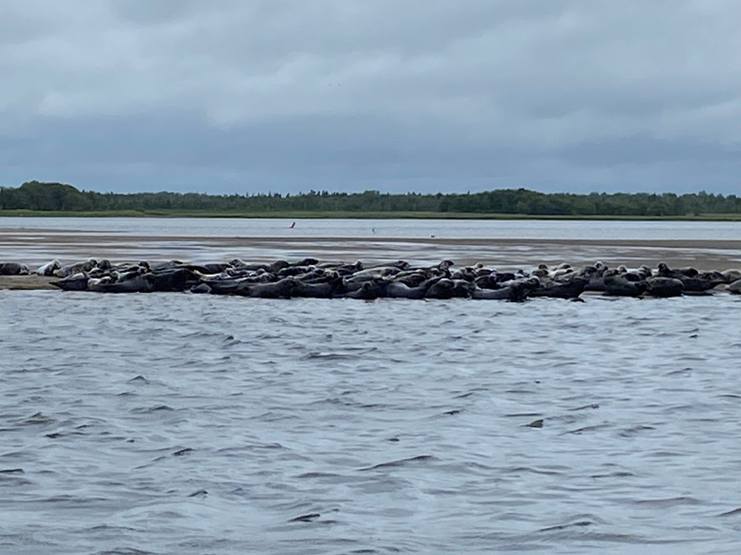 Phoca Tours
