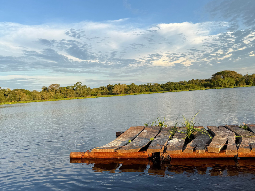 CHUCHINI Amazon Wildlife Reserve & Eco Lodge-Trinidad必去景点