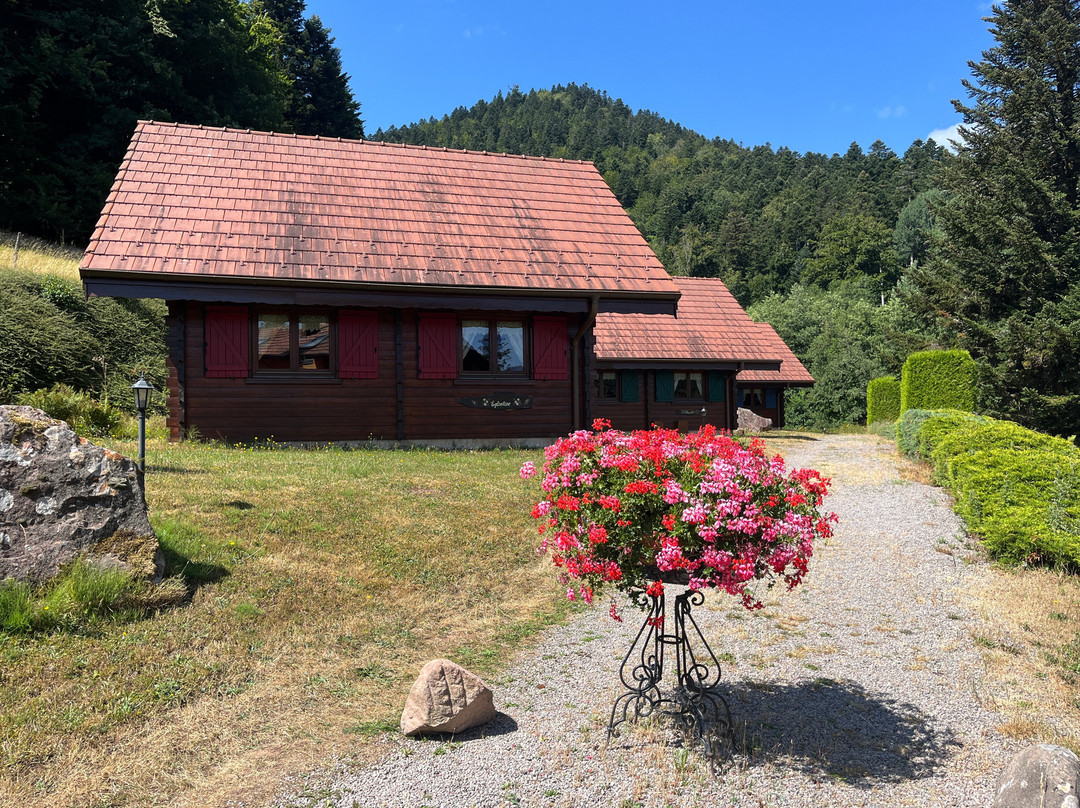 Schirmeck酒店住宿-Hotel Restaurant Neuhauser