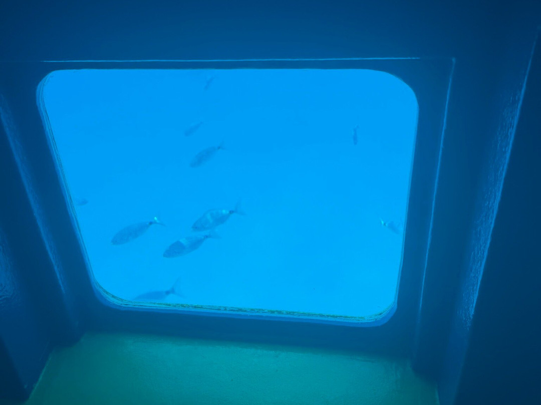 Starfish Glass Bottom Boats-Portocolom必去景点
