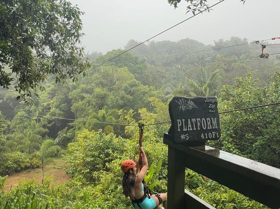 Jungle Zipline Maui-海库必去景点