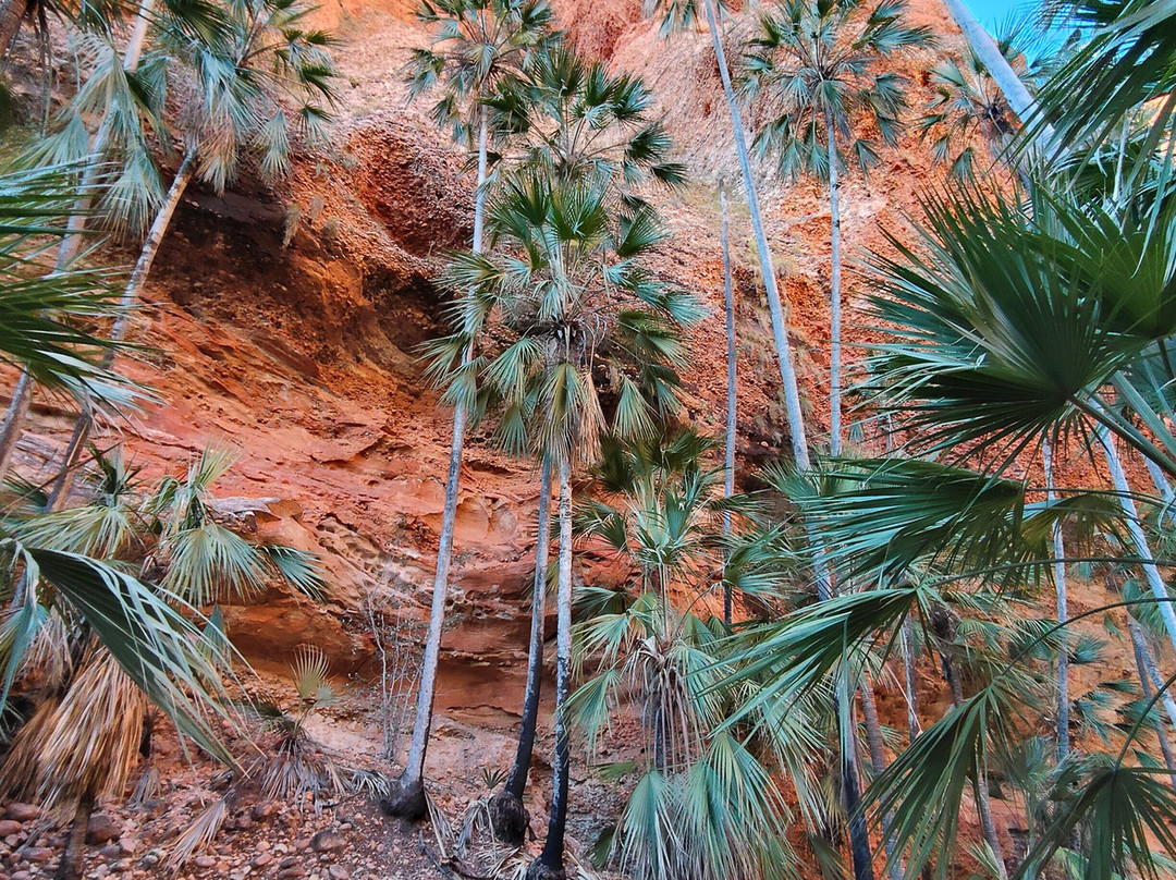 Echidna Chasm-Purnululu National Park必去景点