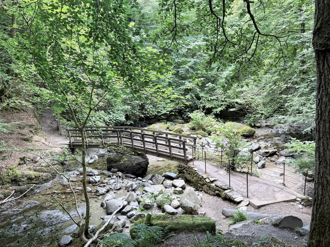 Stock Ghyll Force-安布赛德必去景点