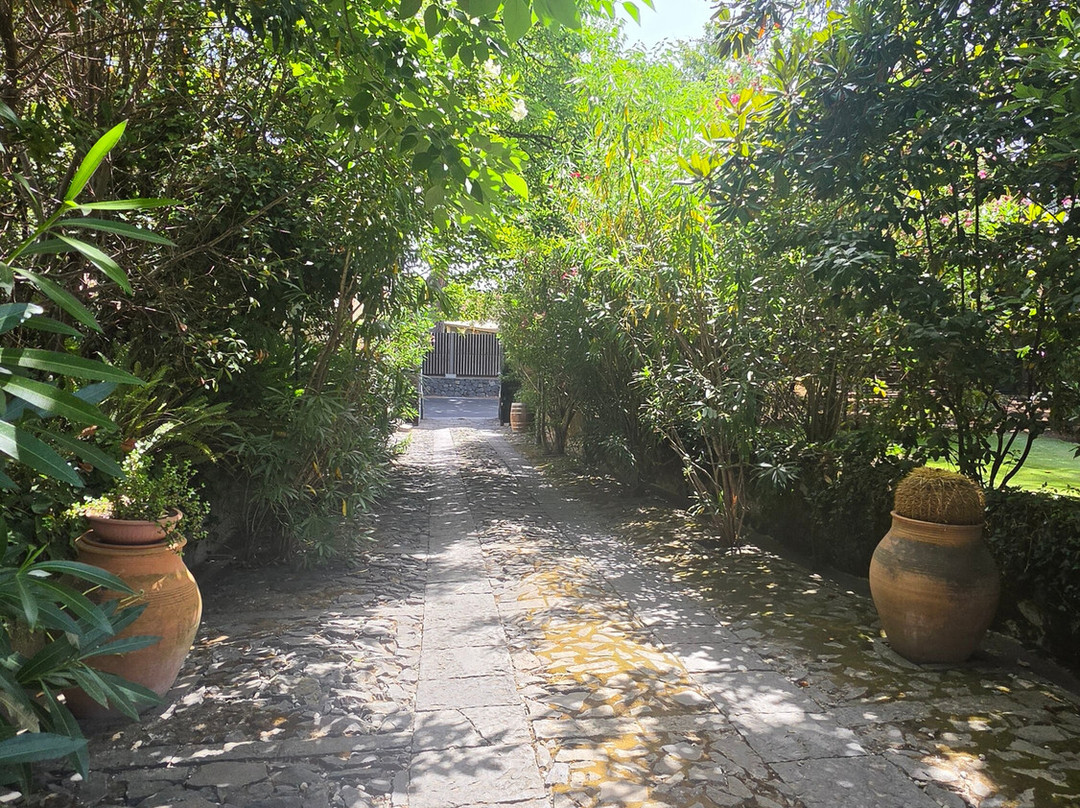 Benanti Winery-Viagrande必去景点