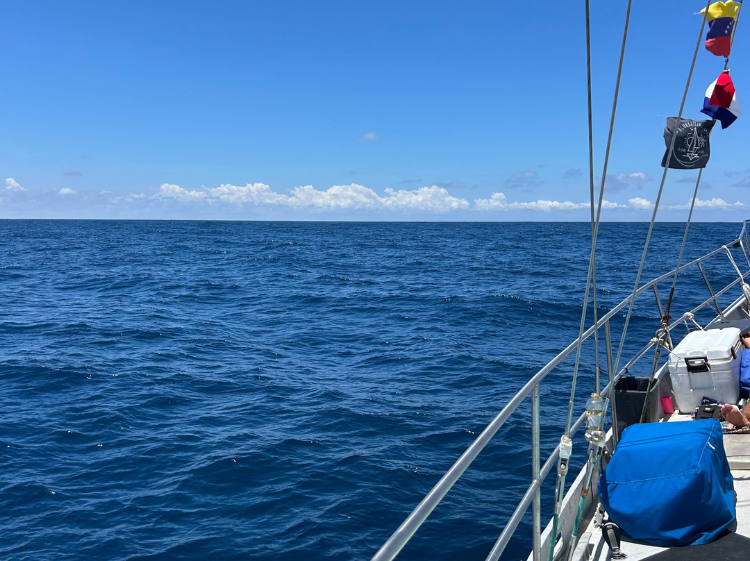 Wild Card Sailing-Puerto Lindo必去景点