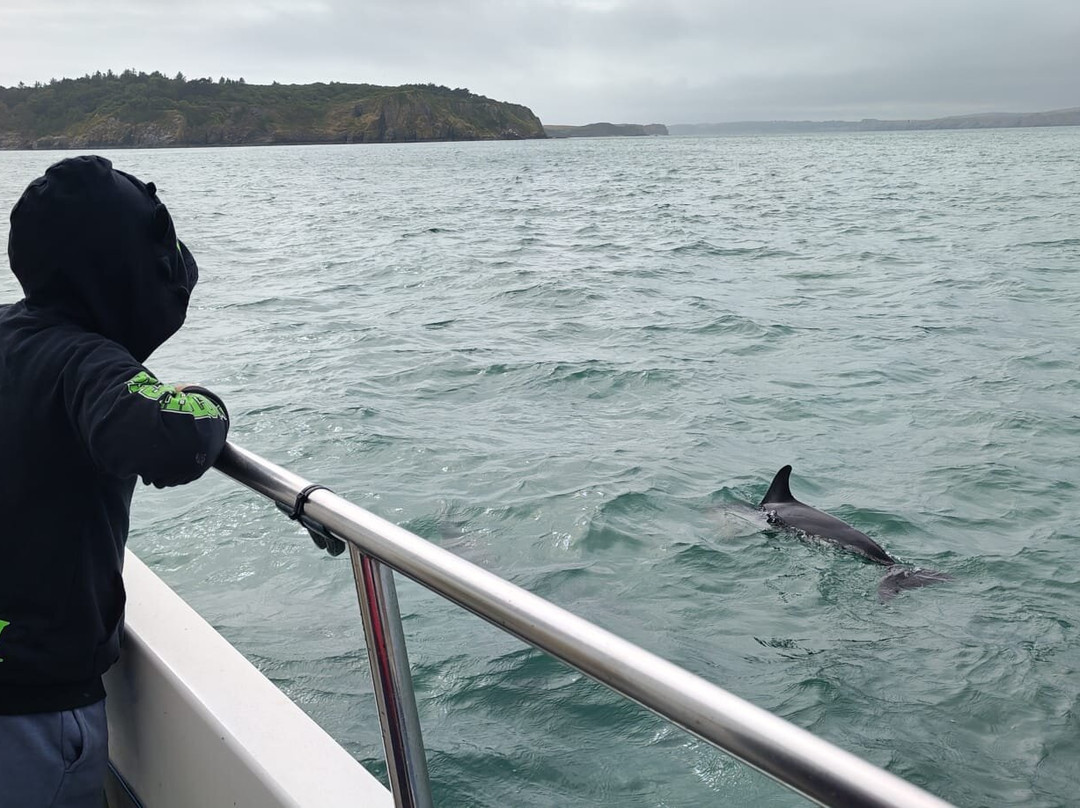 Saundersfoot Sea Safari-桑德斯富特必去景点