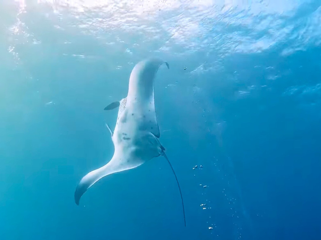 Diving Candidasa-甘地达萨必去景点