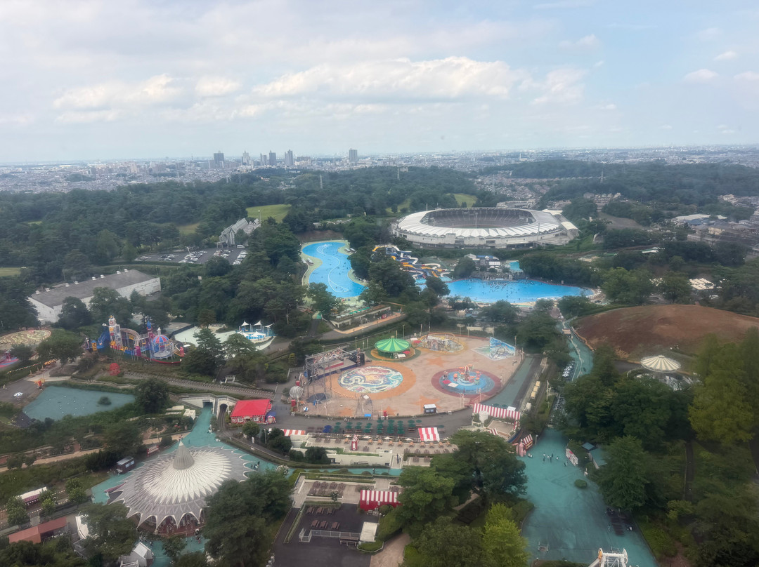 Seibuen Amusement Park-所泽市必去景点