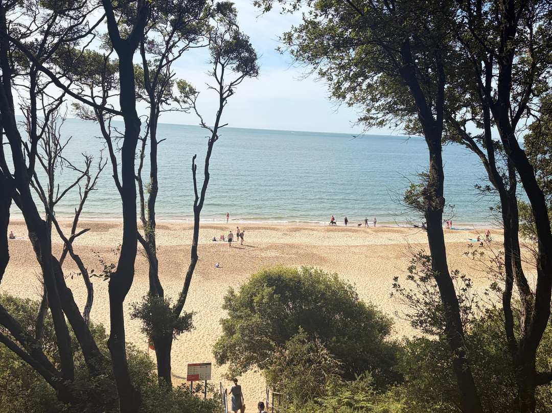 Highcliffe Beach-Highcliffe必去景点
