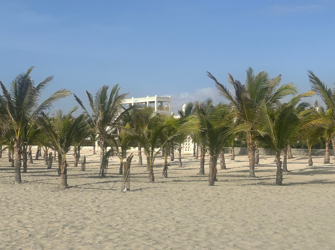 Renova Spa, RIU Palace Boa Vista-Rabil必去景点