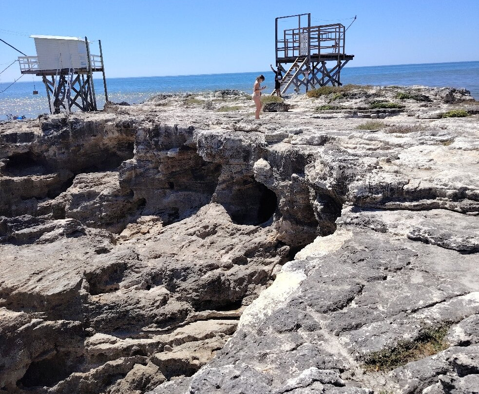 Cabanes à Carrelets - Saint-Palais-sur-Mer-Saint-Palais-sur-Mer必去景点