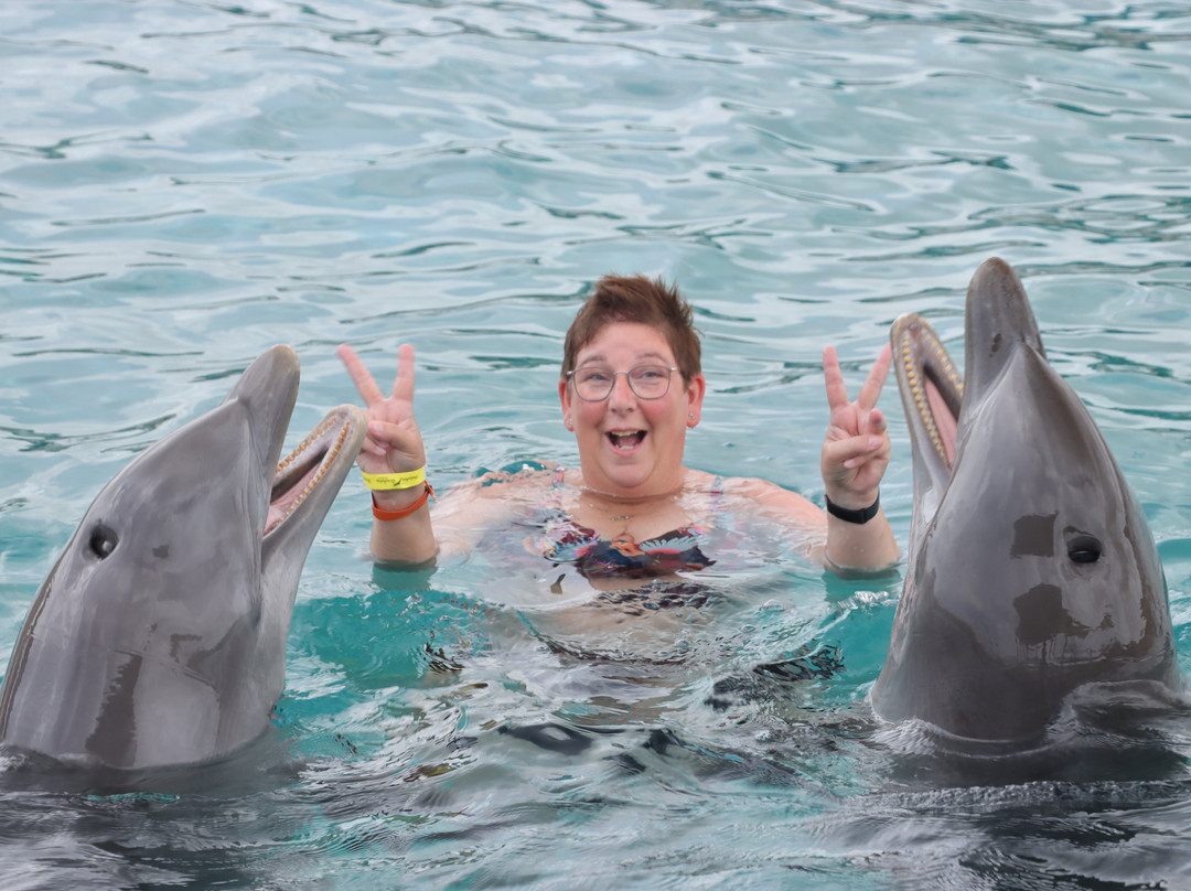 Dolphin Academy Curacao-威廉斯塔德必去景点