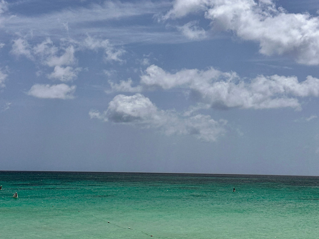 Divi Beach-奥腊涅斯塔德必去景点