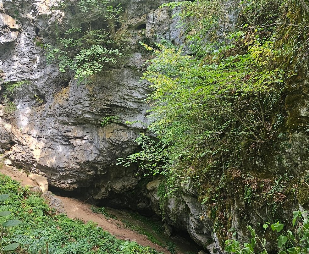 Réserve Naturelle De Furfooz-迪南必去景点