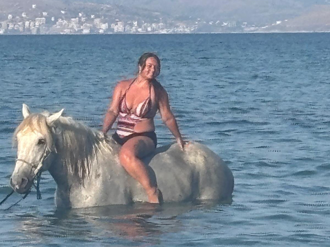 North Corfu Horses-Peritheia必去景点