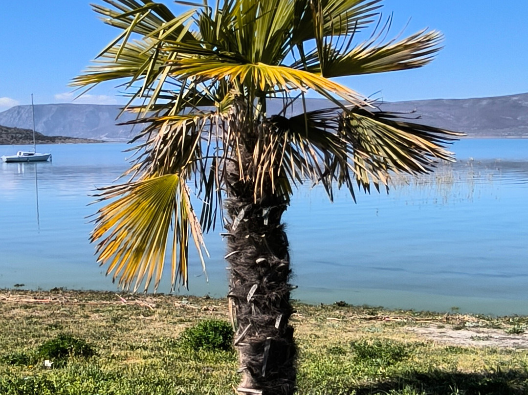 Lake Vegoritida-Arnissa必去景点