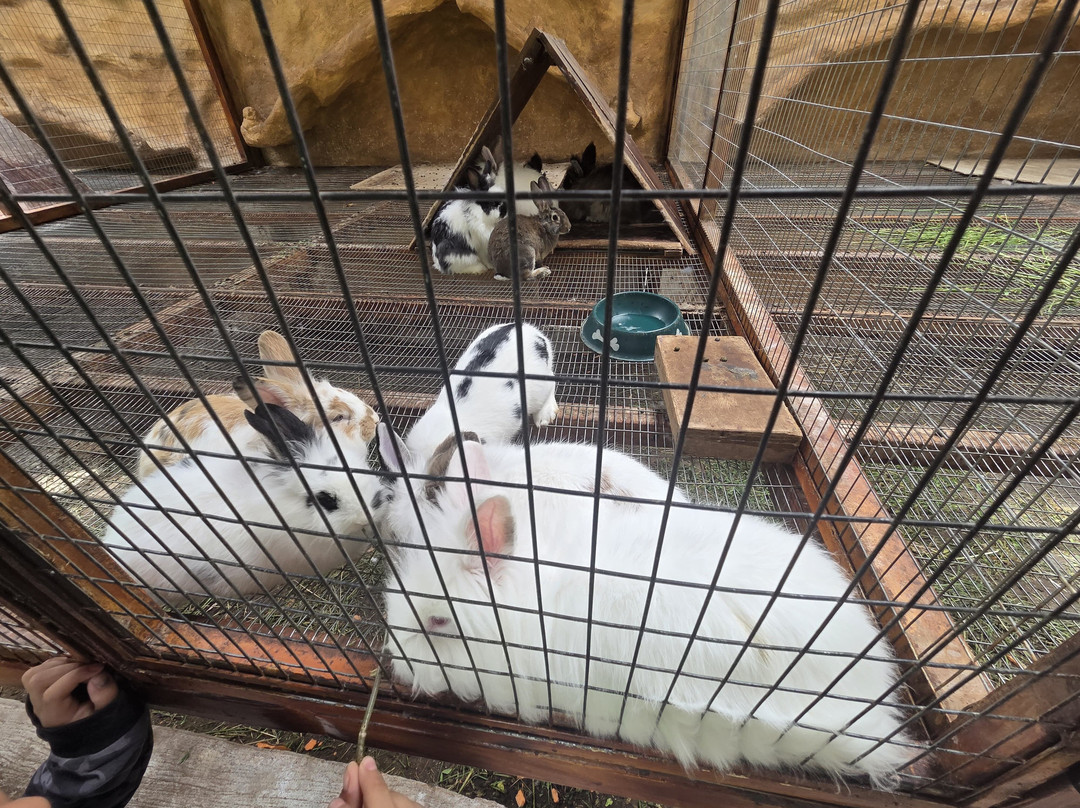 AnimalPark-巴尼奥斯必去景点