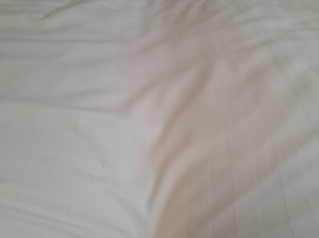 Best Western Plus Europe Hotel主图
