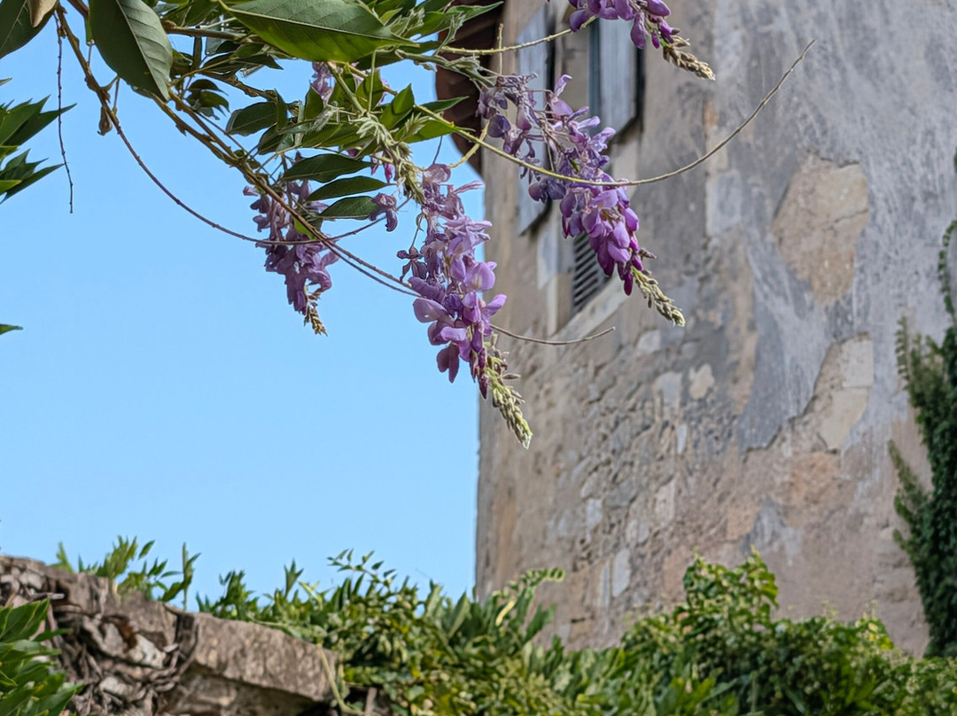 Château de Meauce-Saincaize-Meauce必去景点