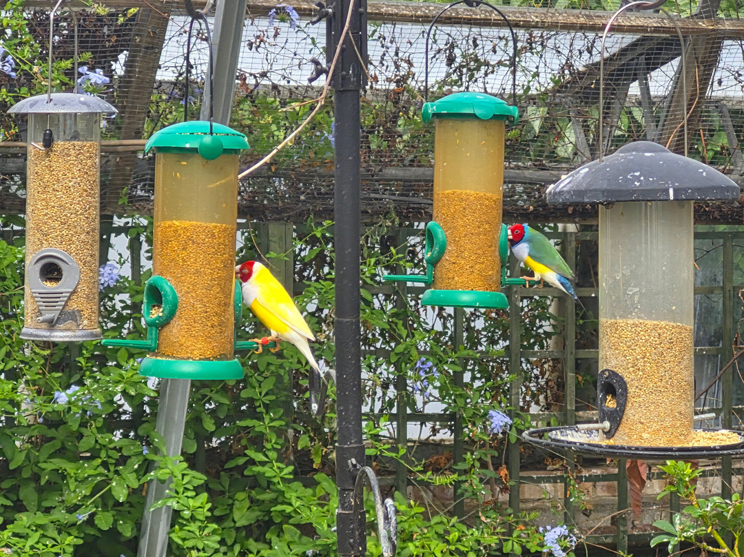 Natureland Seal Sanctuary-斯凯格内斯必去景点