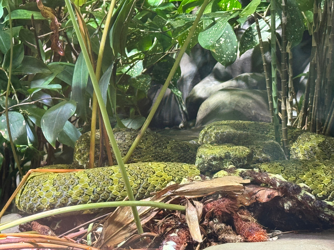 AQUATIS Aquarium Vivarium Lausanne-洛桑必去景点