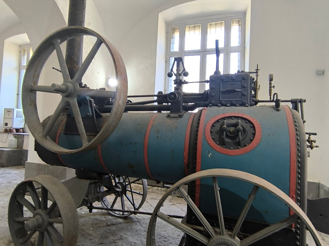 Reggia di Portici Herculanense Museum-Portici必去景点
