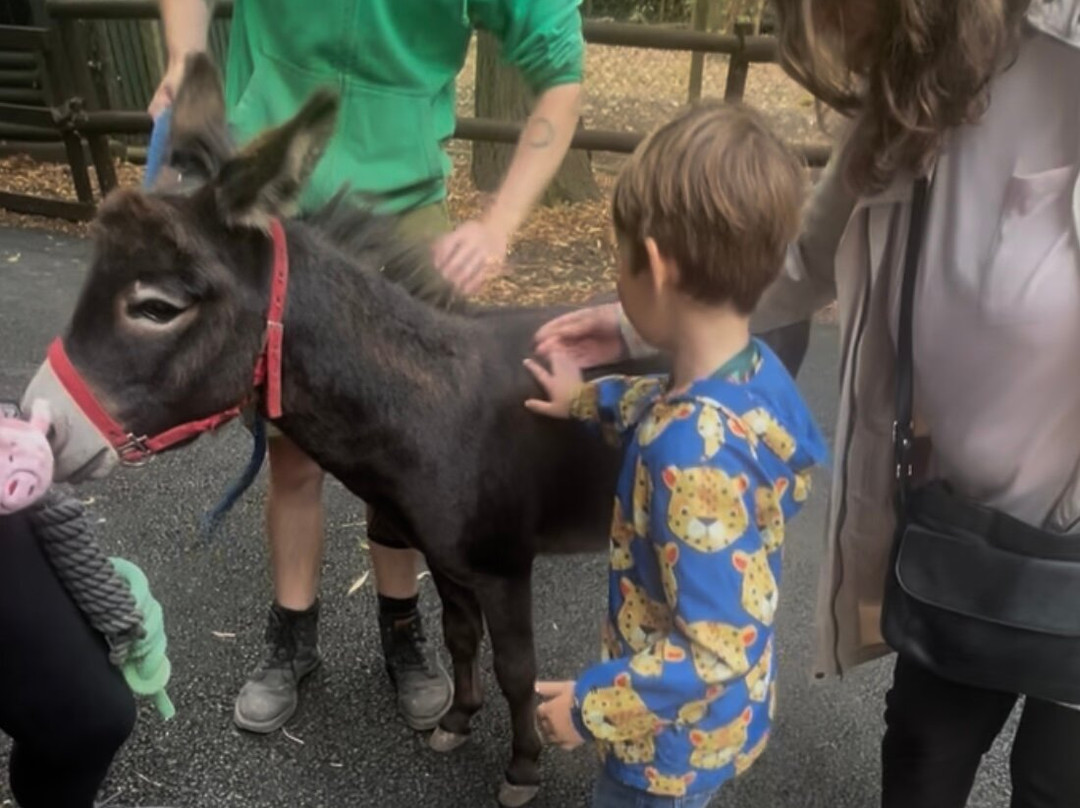 Greenacres Animal Park-Deeside必去景点