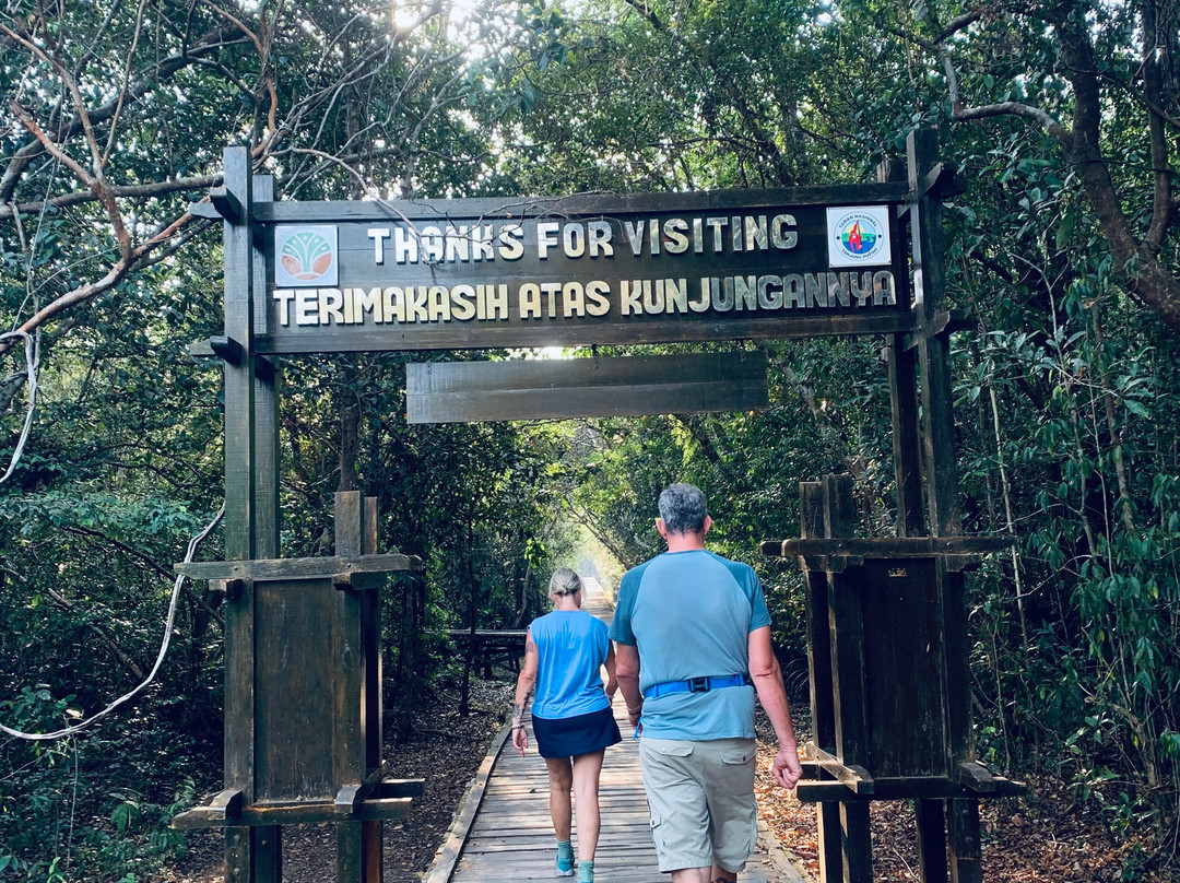 Tanjung Puting National Park-Central Kalimantan必去景点