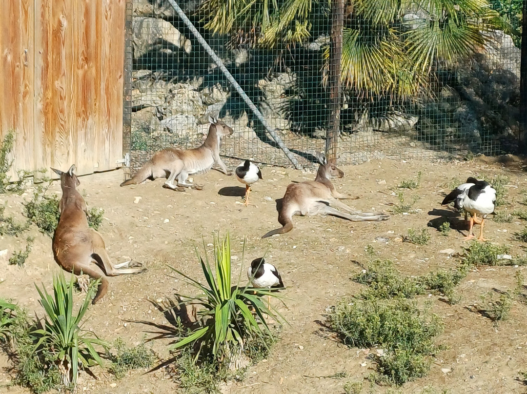 Les Jardins Animaliers Biotropica-Val de Reuil必去景点