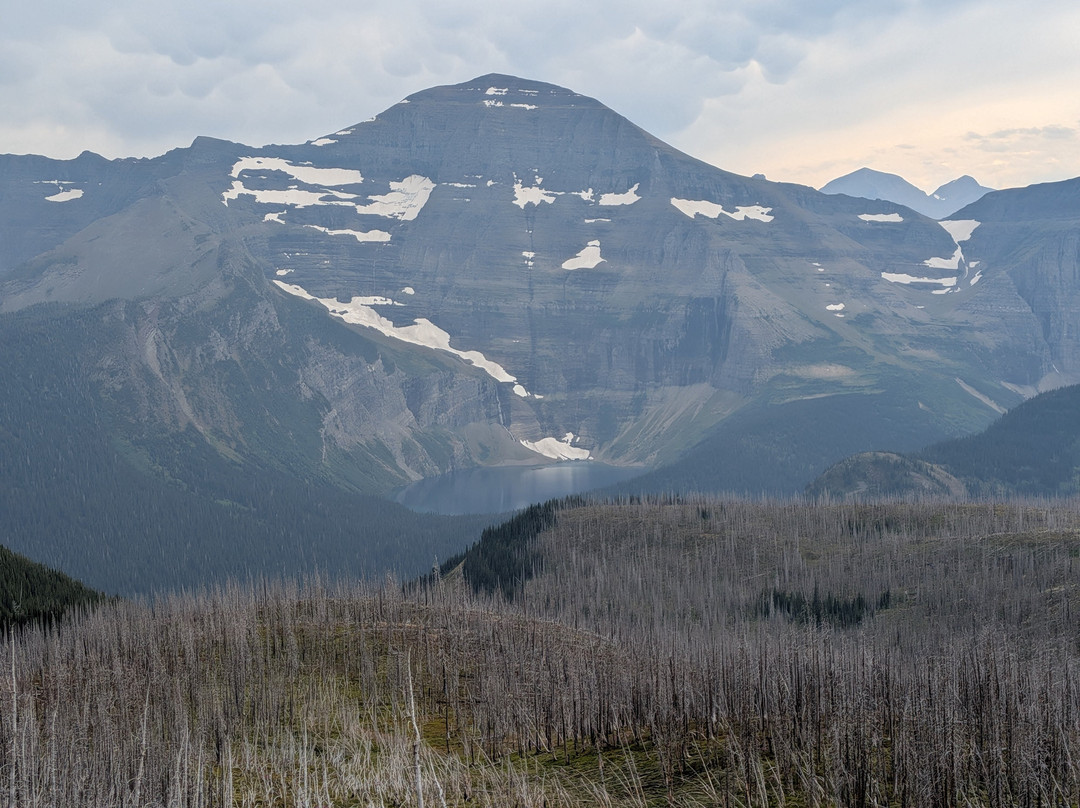 Tamarack Adventures: Waterton Guided Hiking & Kayak Tours – Local Expert Experience-Waterton必去景点