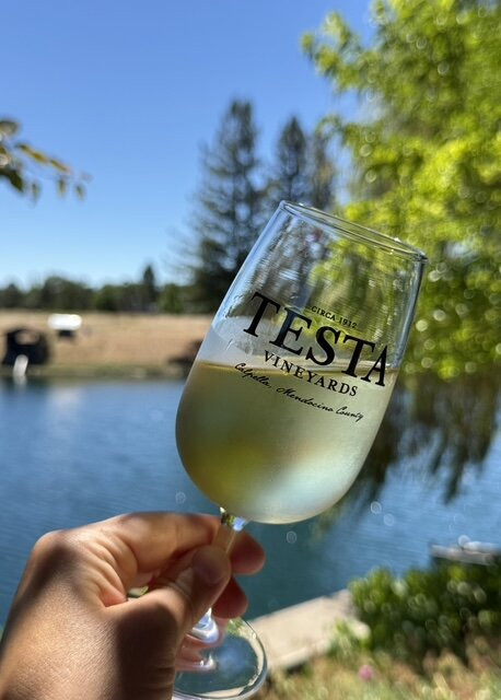 Testa Vineyards-Calpella必去景点