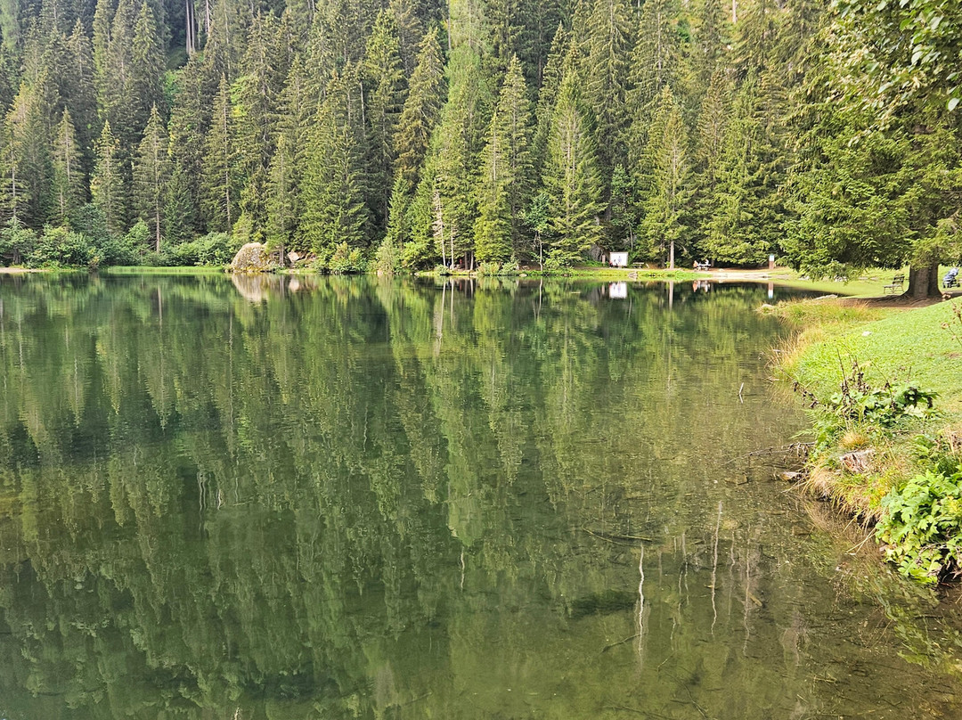 Lago dei Caprioli-Pellizzano必去景点