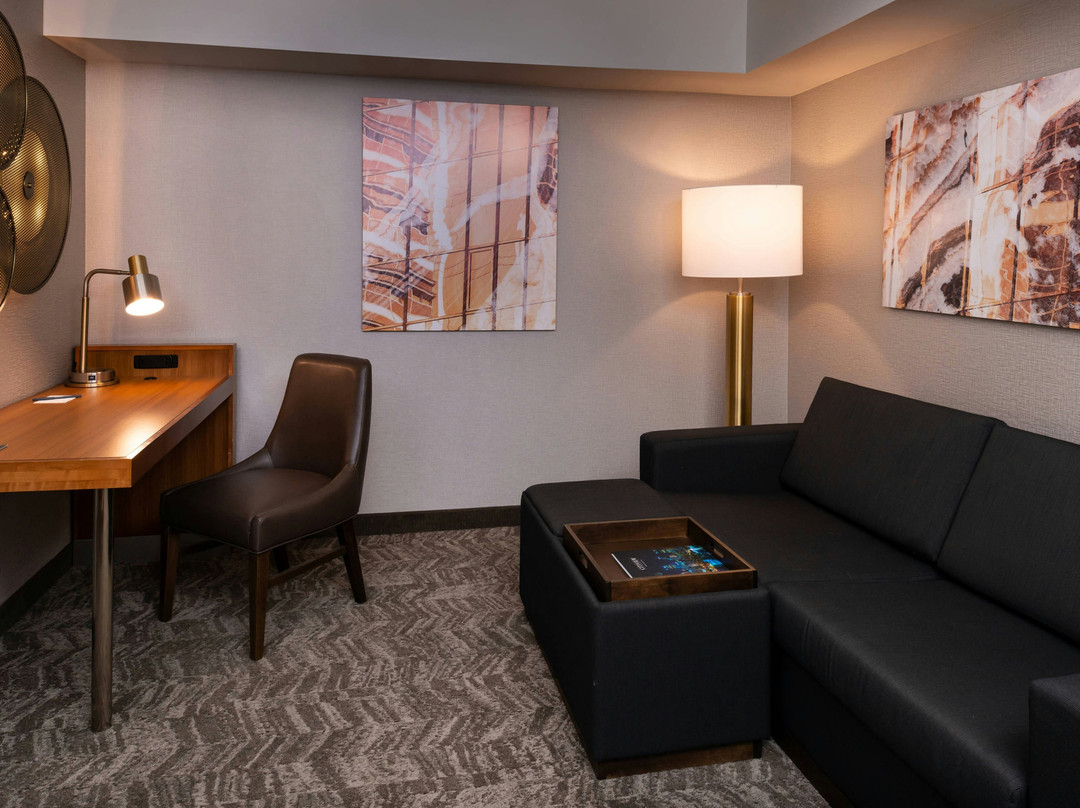 匹兹堡北岸万豪SpringHill Suites 酒店