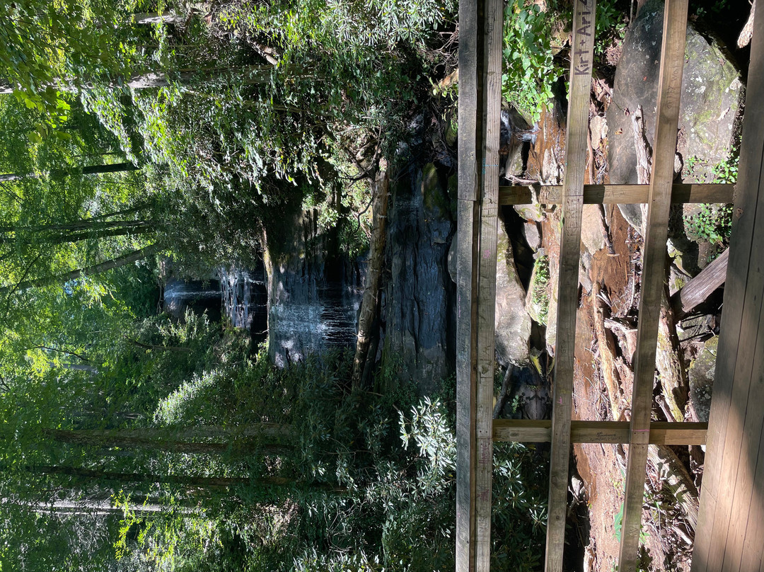 Dukes Creek Falls Trail-海伦必去景点