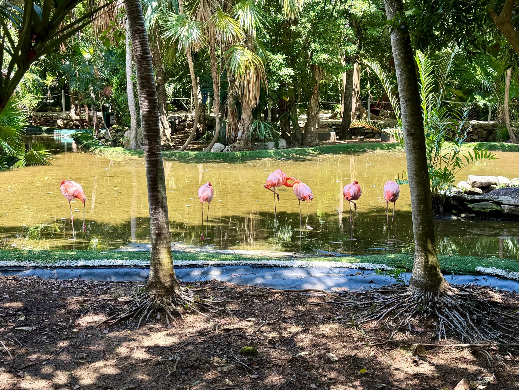 格兰德帕拉迪尔姆坎特纳水疗度假村-全包-旅行者