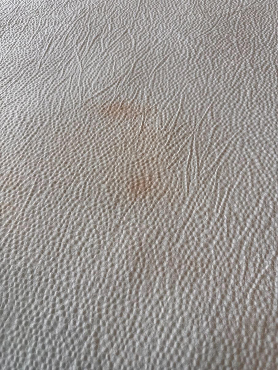 Residence Inn Boston Needham-客卧