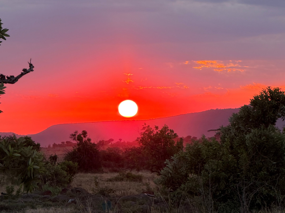 Regal African Safaris-Usa River必去景点