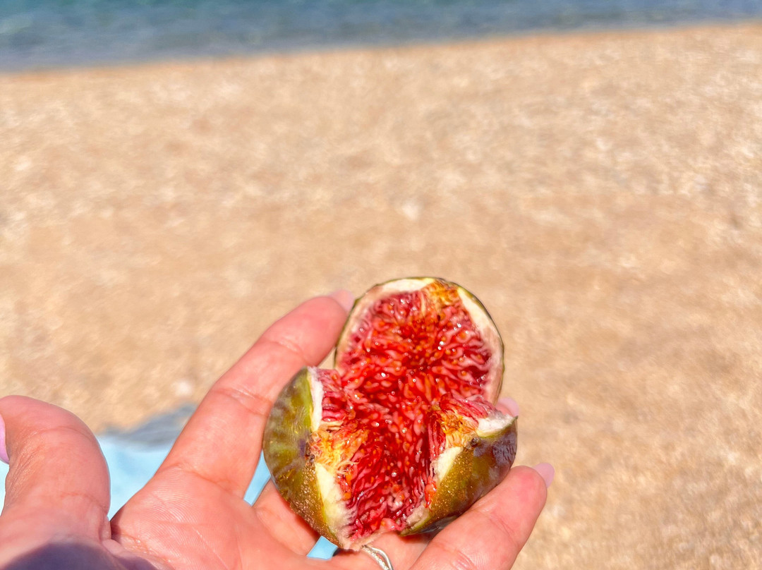 Mirsini Beach-米克诺斯镇必去景点