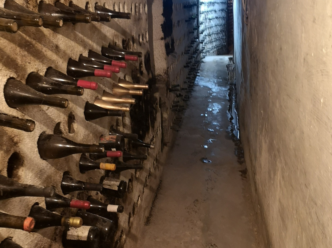 金塔赛跟哈思旅馆主图