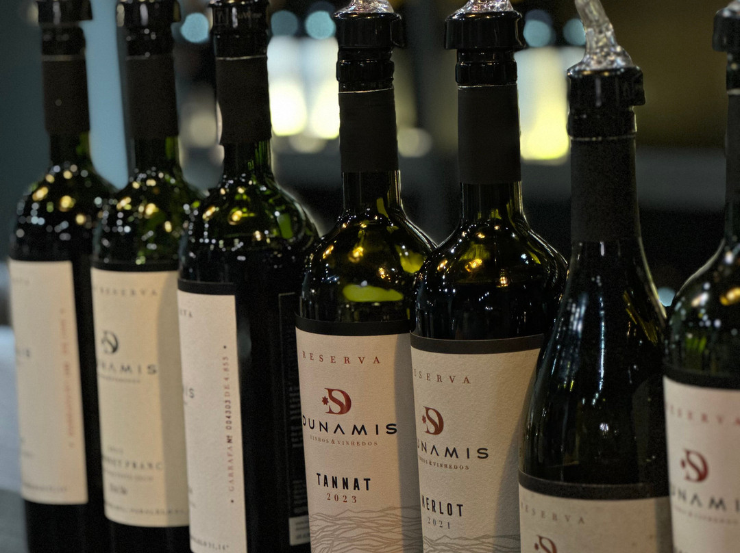 Loja - Dunamis Vinhos & Vinhedos-格拉玛多必去景点