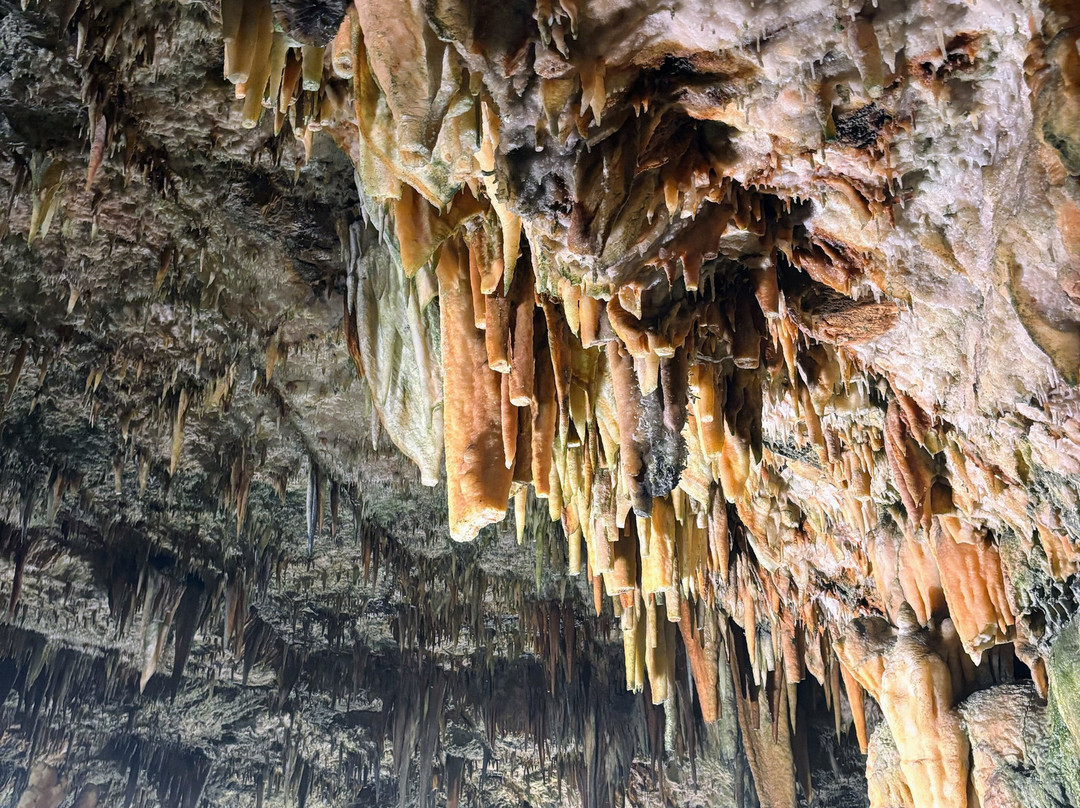 Drogarati Cave-Chaliotata必去景点
