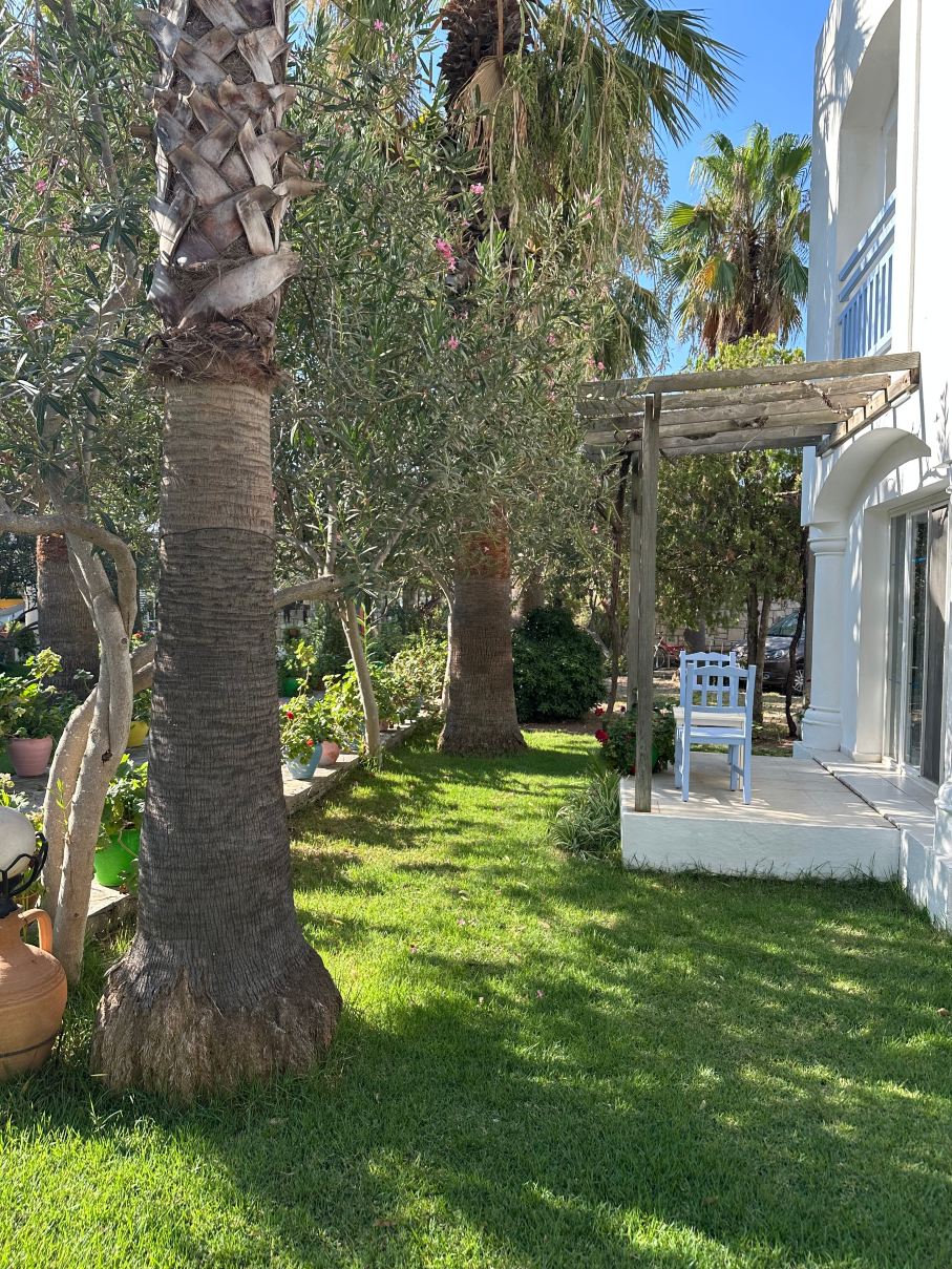 Tamarisk Beach Hotel-旅行者
