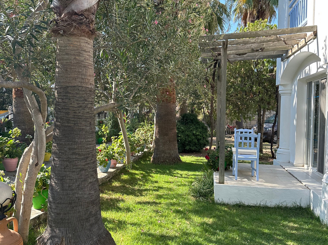 Tamarisk Beach Hotel主图